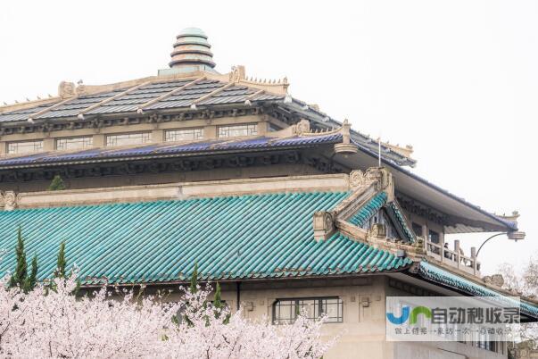 武汉专业网站公司：定制专属网站，提升企业价值，拓展市场新机遇
