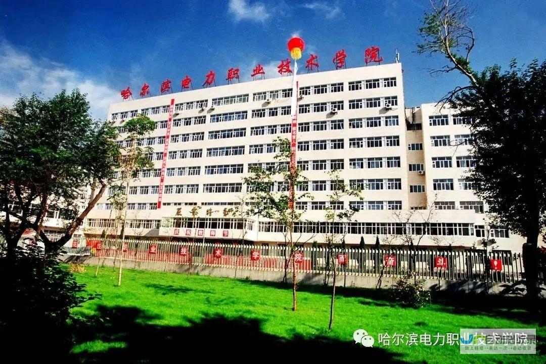 哈尔滨专业网站设计服务：提升品牌形象，拓展市场，助力企业发展