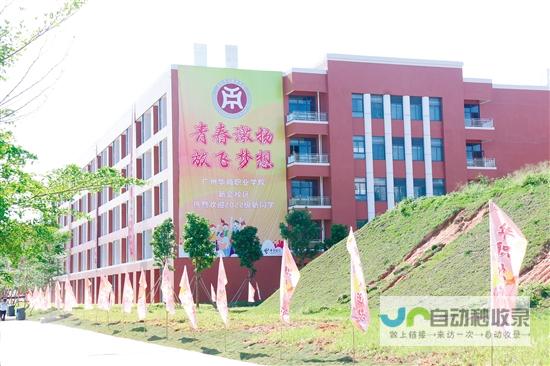 新会网站建设：打造您的线上品牌，提升新会形象